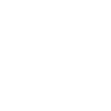 Icon 03